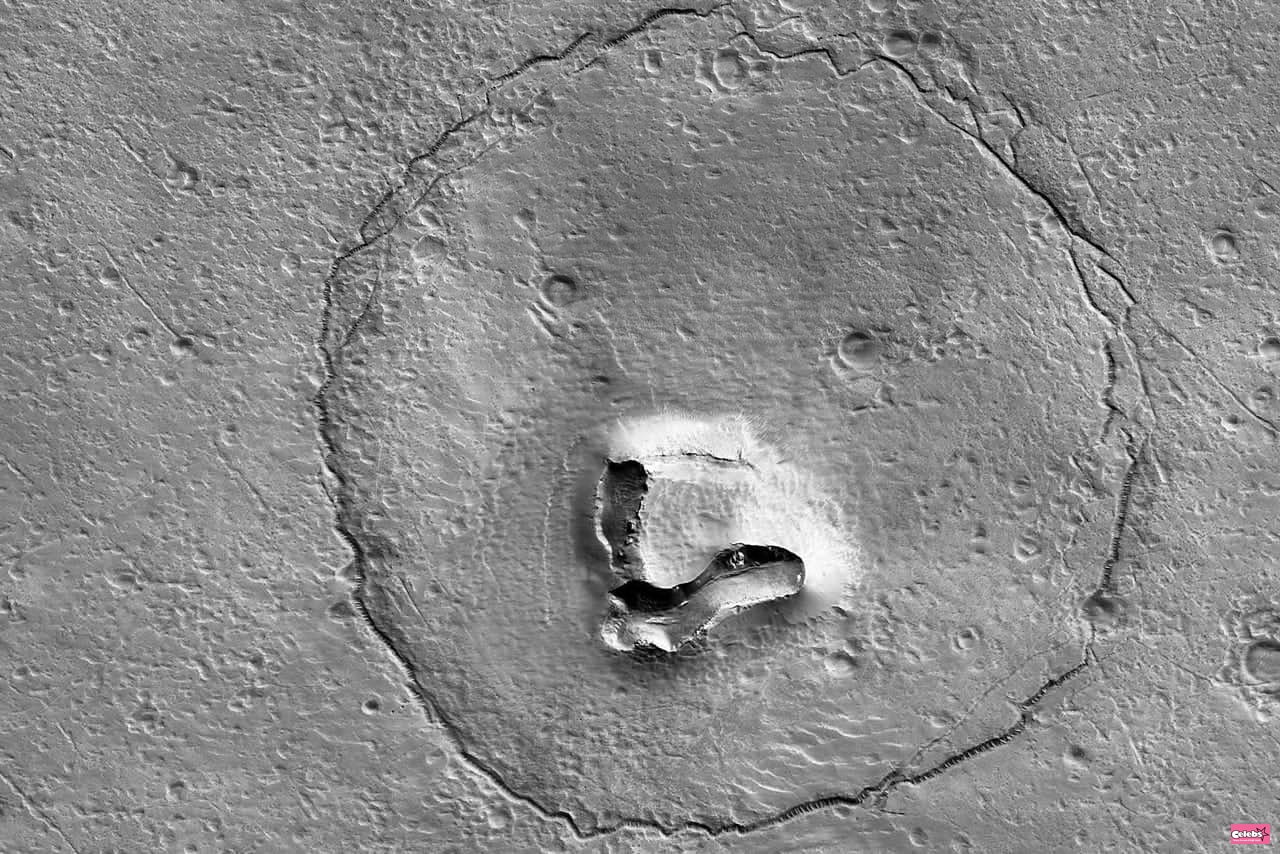 Mars: a bear-shaped crater discovered on the red planet!