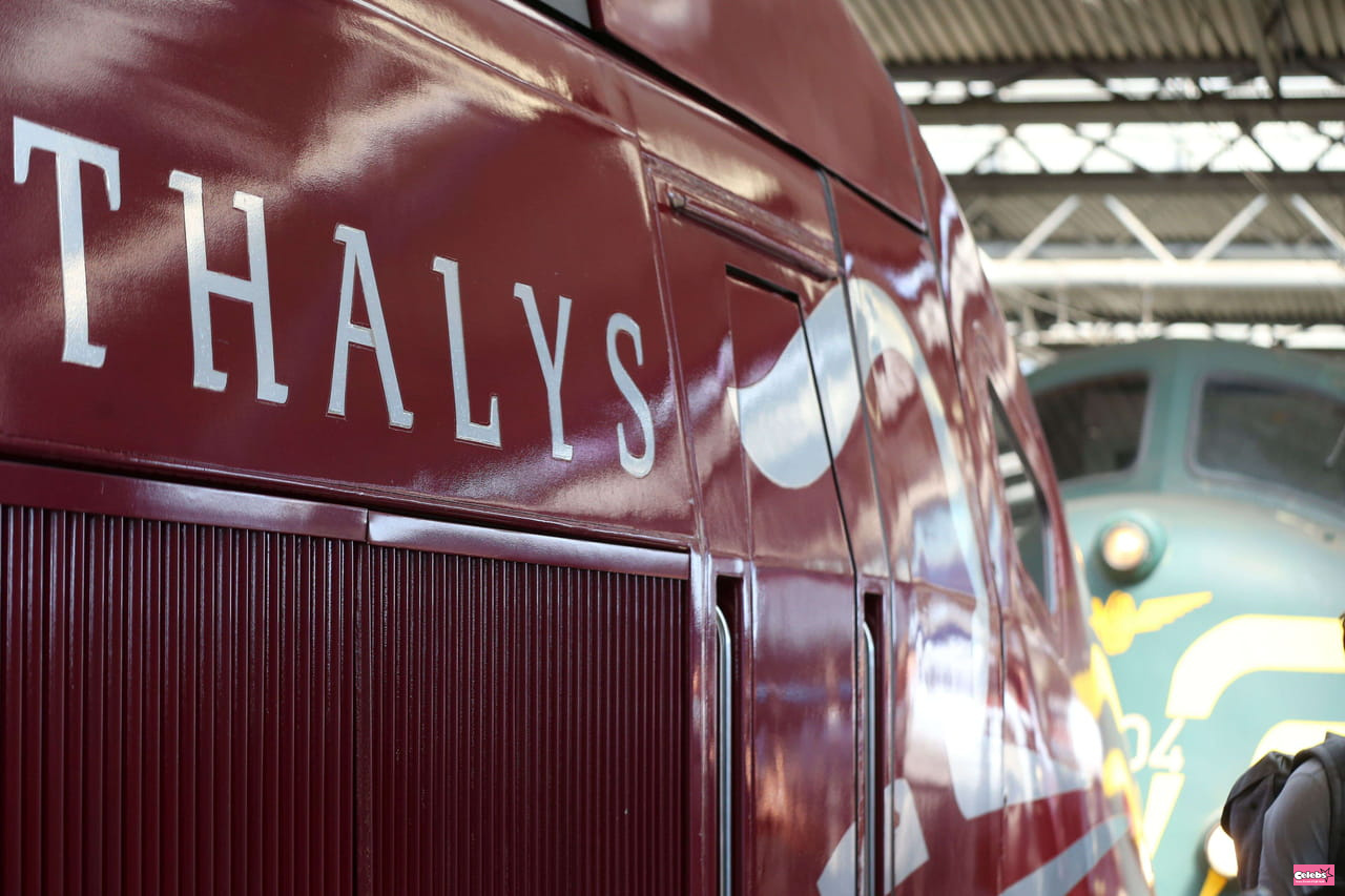 Thalys: the railway company relaunches Premium class and reopens its Welcome Bar, news
