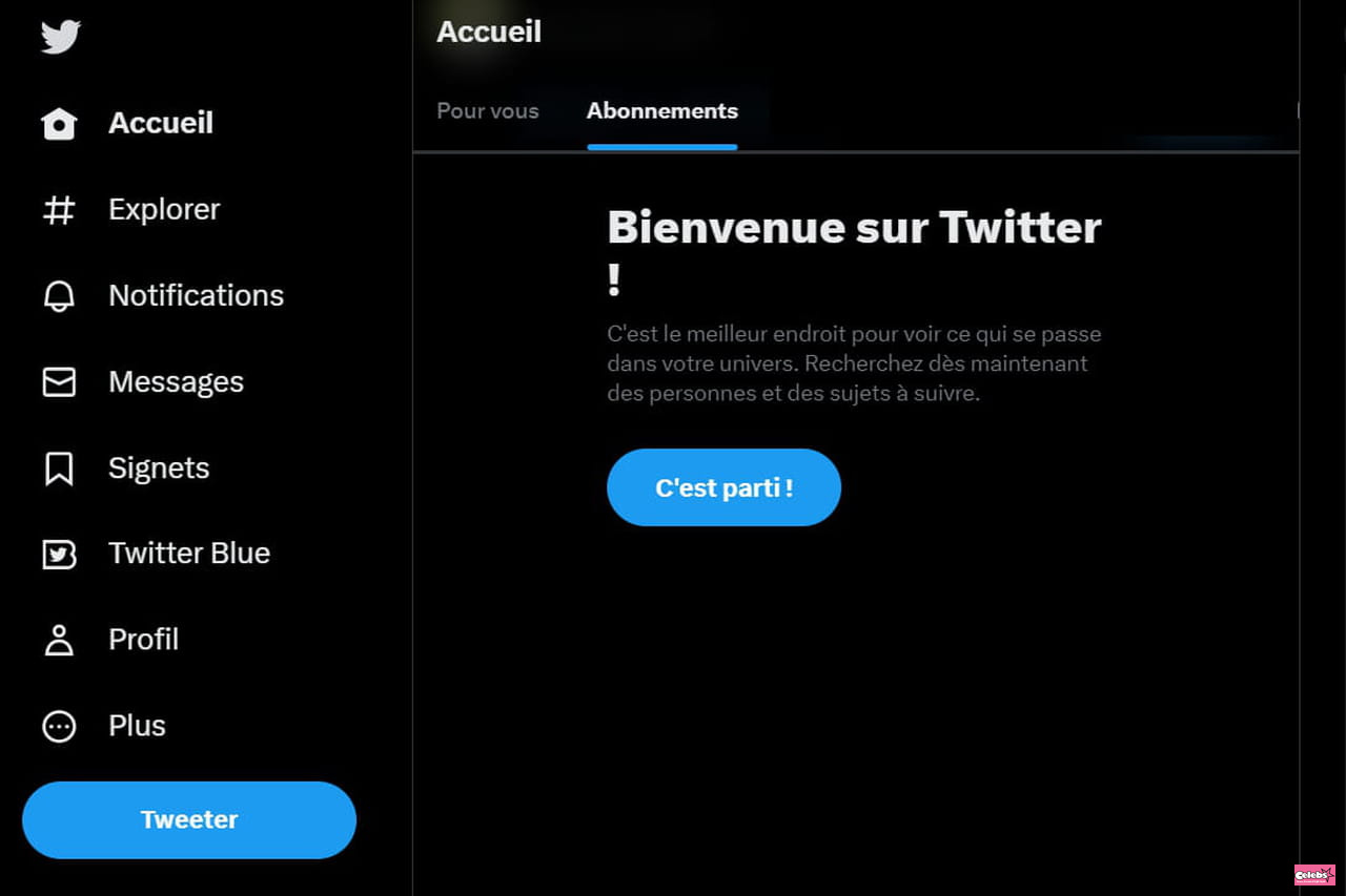 Twitter outage: a bug on the social network, the origin still unknown