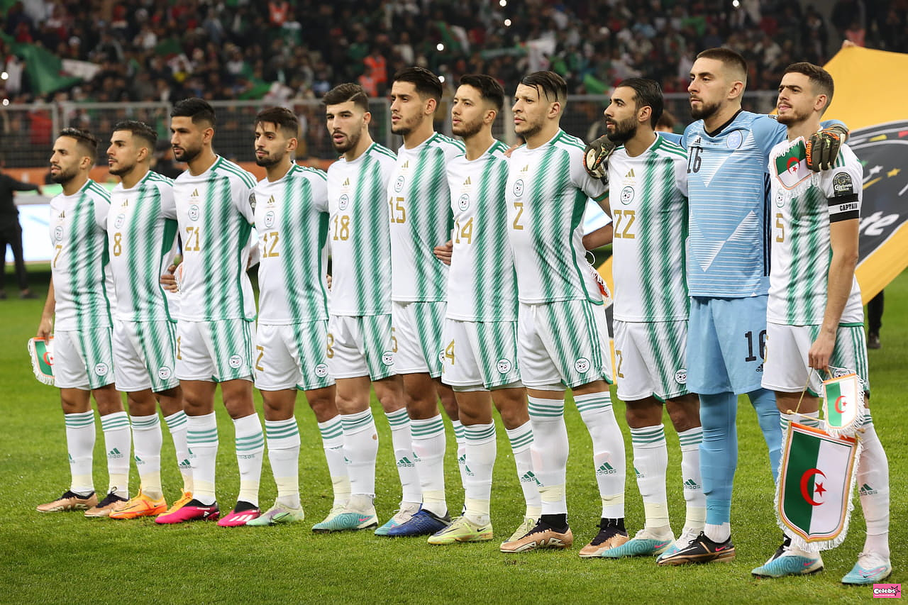 Algeria - Niger: time, TV channel, streaming... Match info