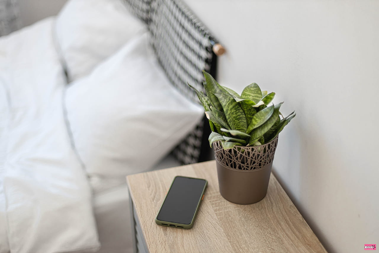 An expert assures her, placing this plant in her bedroom makes it easier to sleep