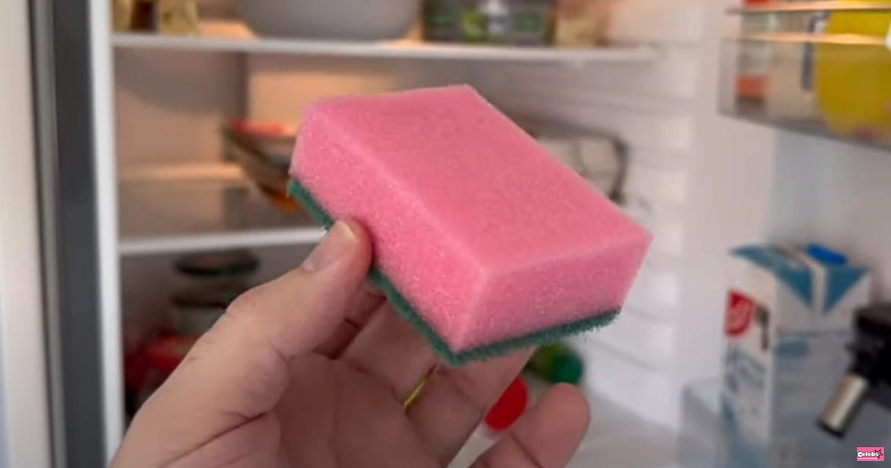 He puts a kitchen sponge in the fridge - find out why you should do the same