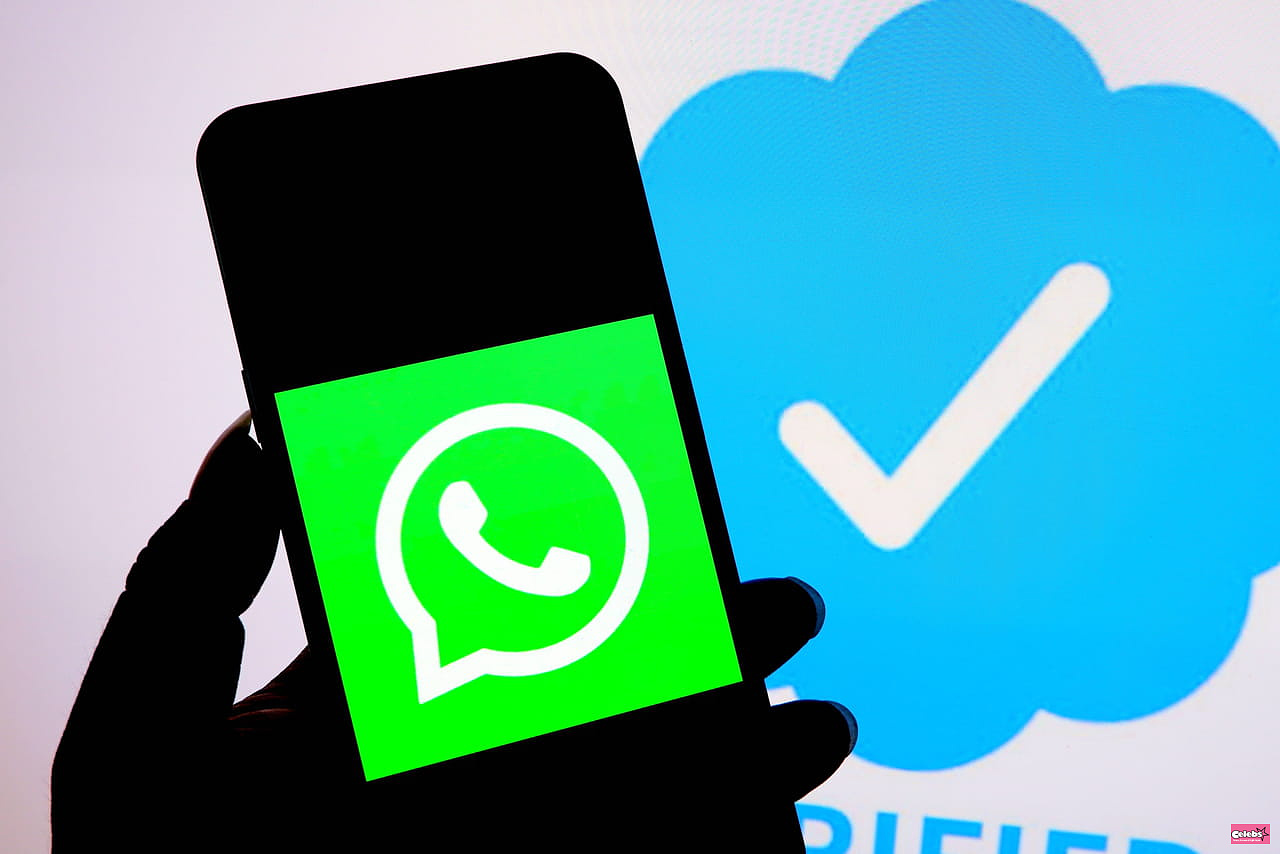 Whatsapp outage: beware, bug confirmed this Wednesday, July 19! What we know