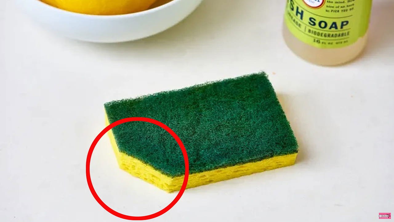 Cutting an Angle of the Dishwashing Sponge: This Trick Is So Handy I Wish I'd Known About It Before