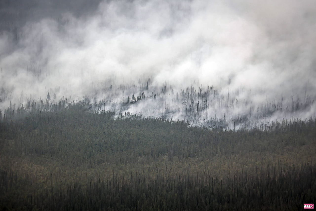 Fires in Canada: A historic fire season, 13.9 million hectares have already burned