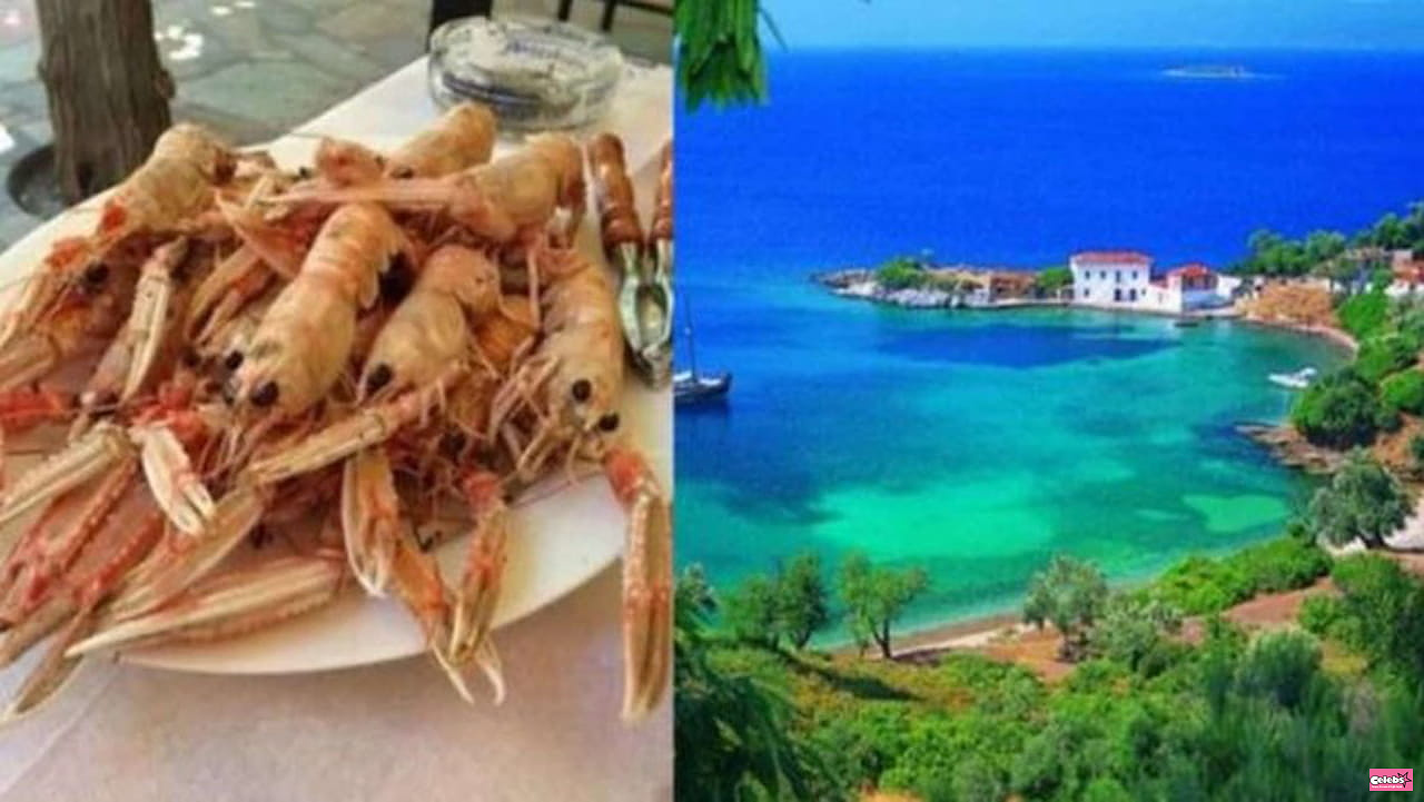 We eat fish, drink and sleep for €15 a day in this tourist-free paradise