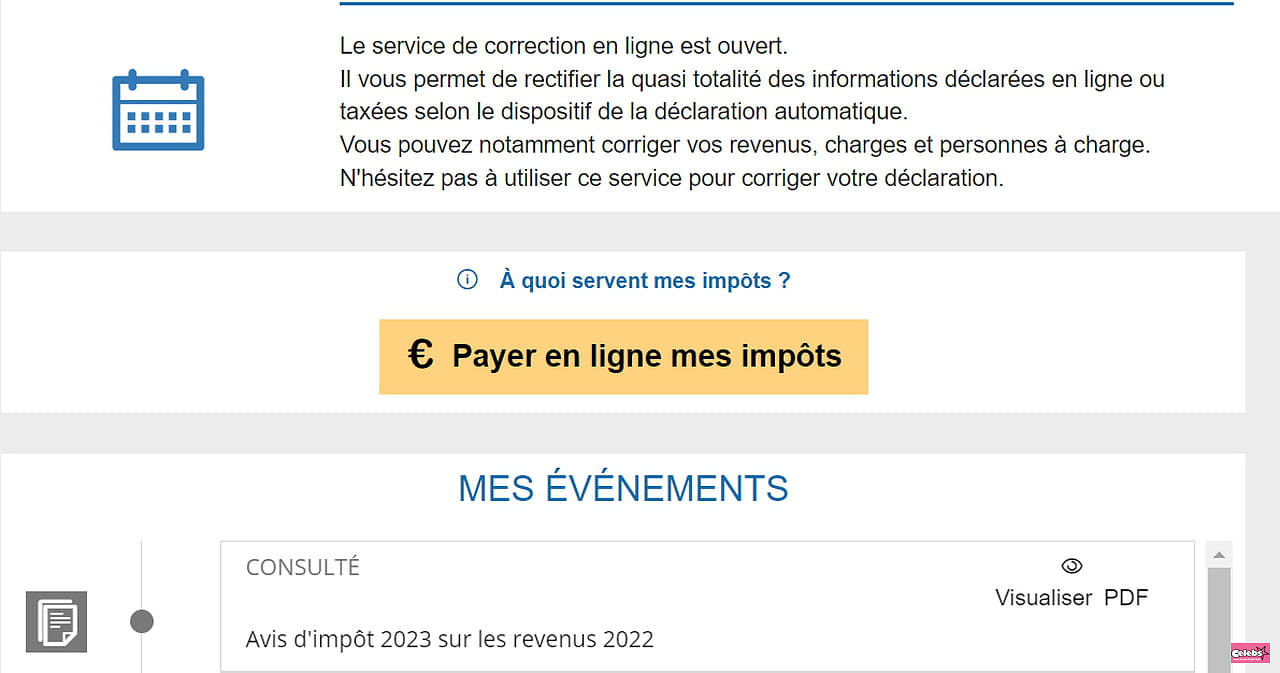 Payment of taxes: when in 2023? By direct debit, check or cash?