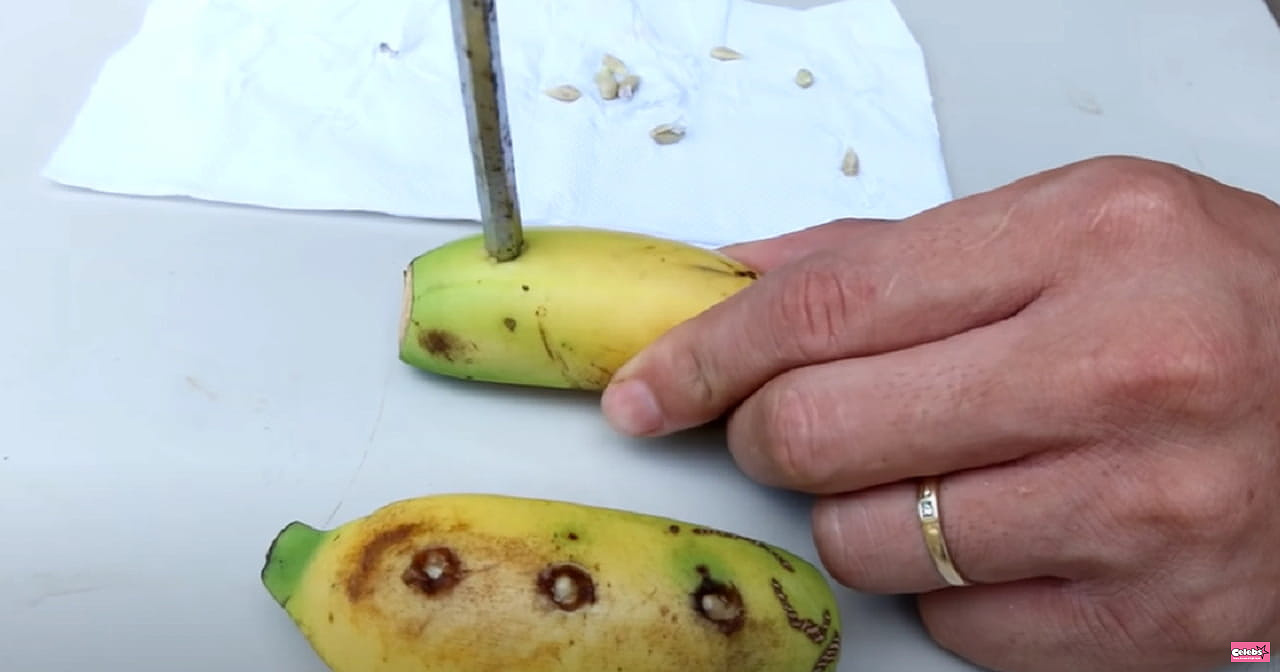 He puts lemon seeds in his banana: when you see what happens, you will do the same