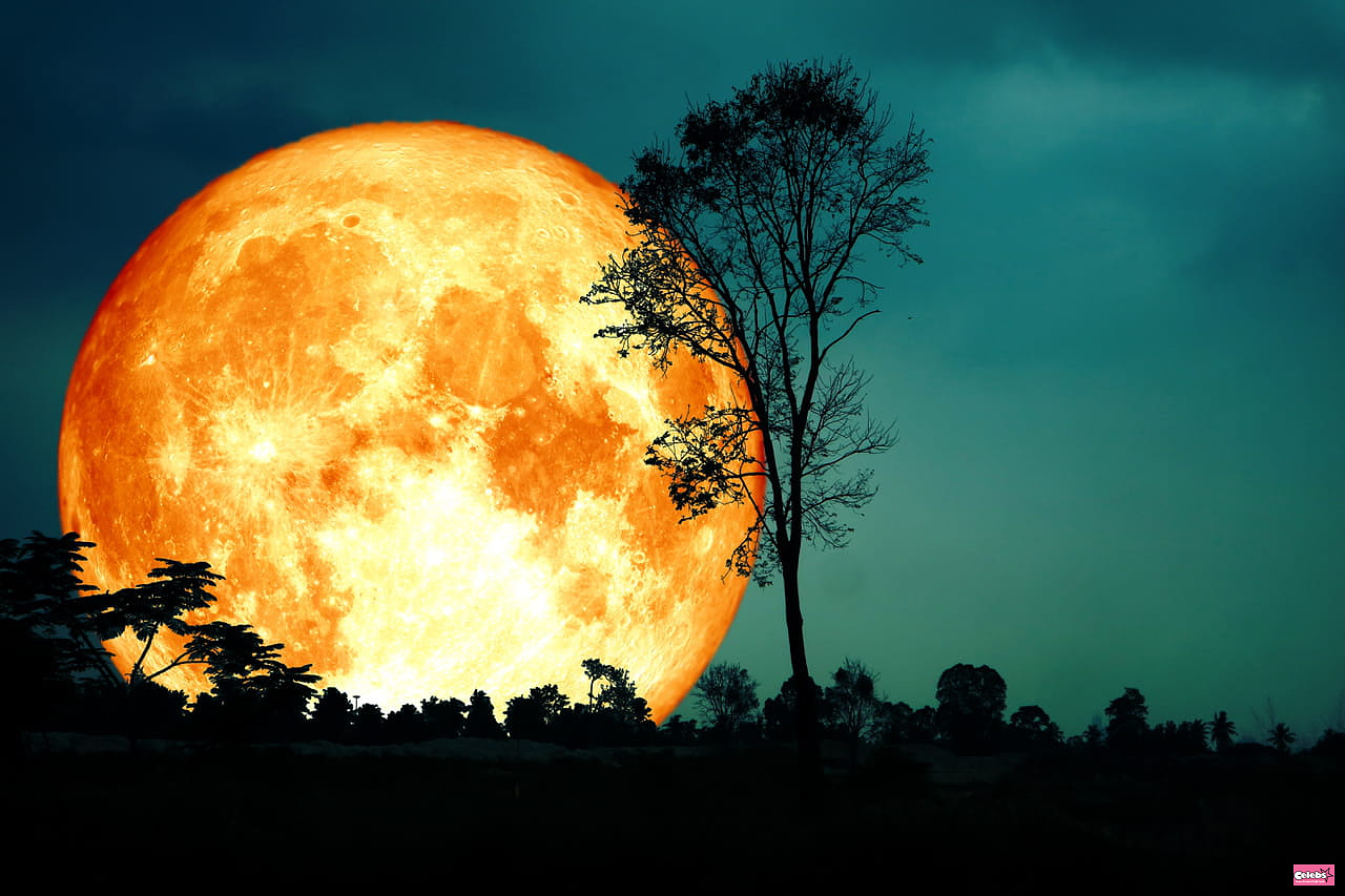 Super Blue Moon: What You'll Really See This Wednesday Night