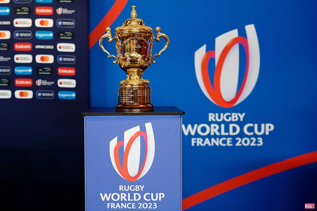 Rugby World Cup earnings: how much in case of victory or final?