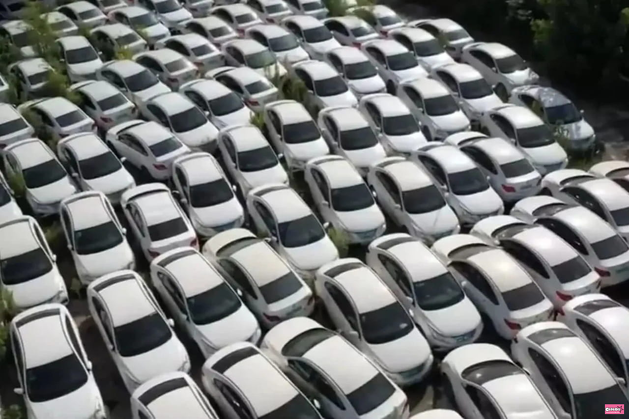 Vast 'cemeteries' where electric cars rot appear in China - and they're all the same color
