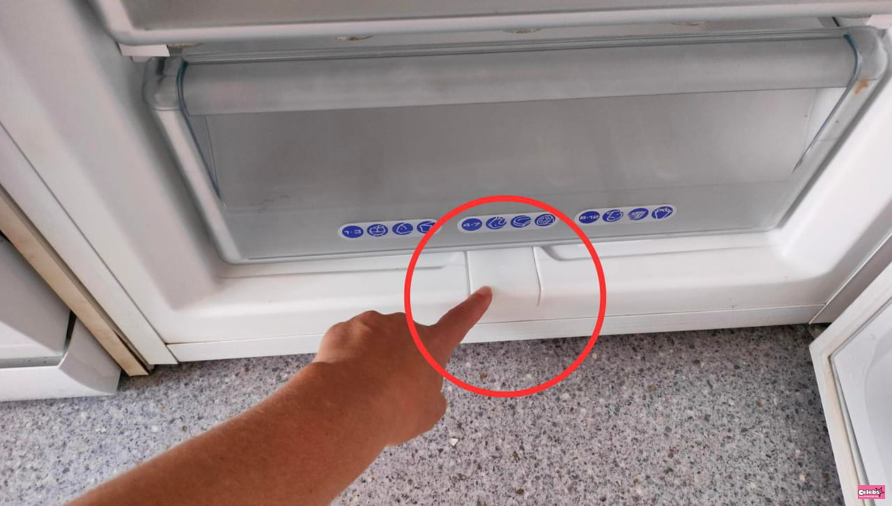 It is found in almost all freezers. Few people know what it is for
