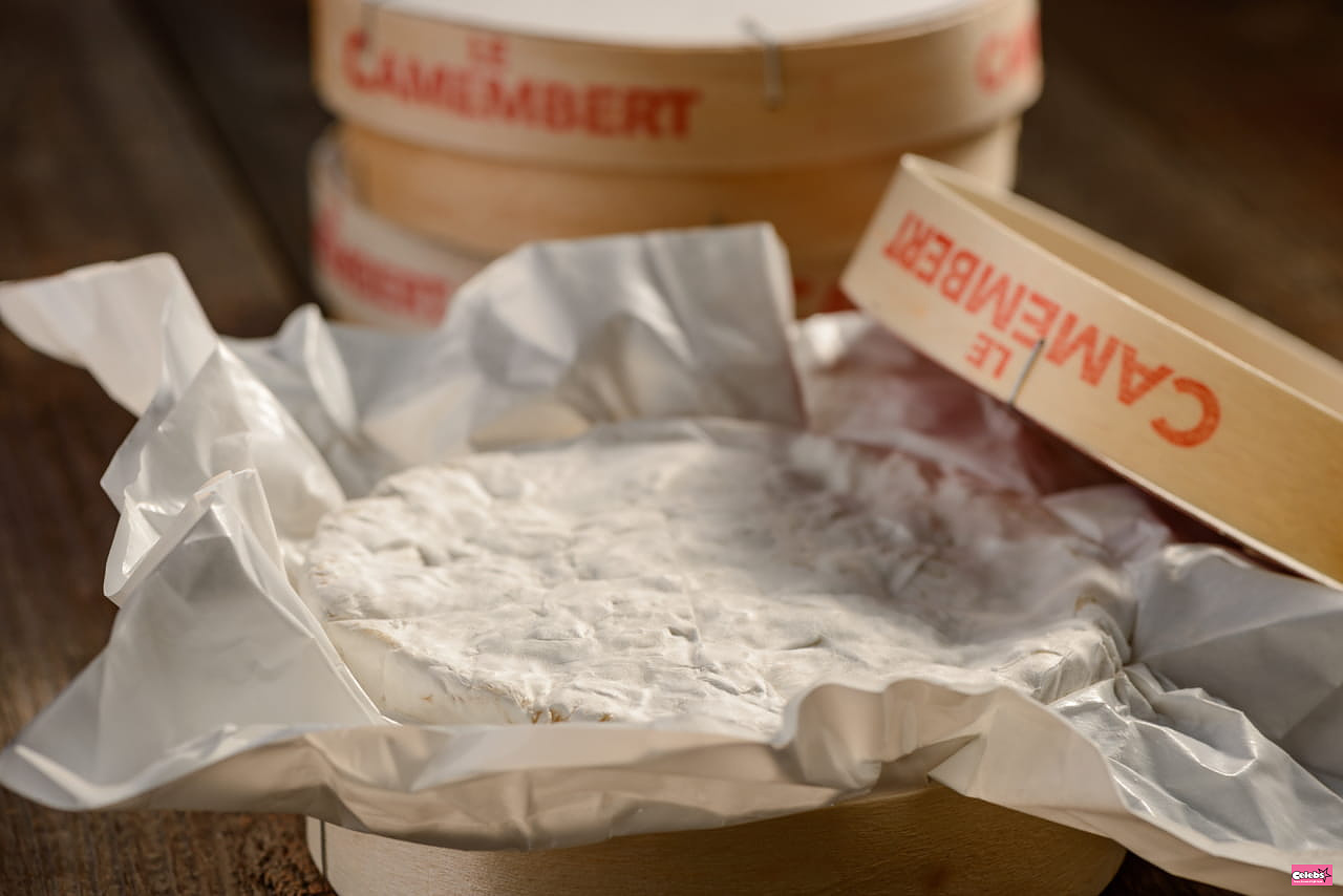 Europe is attacking our good old boxes of Camembert - this new rule is already scandalizing cheesemakers