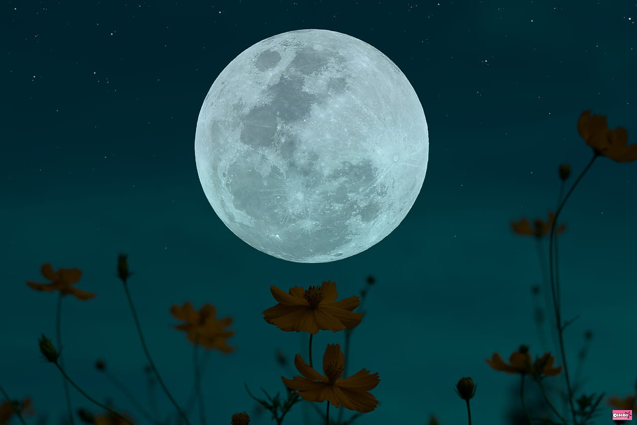 Full Moon of November 27: what effects on the different astrological signs?