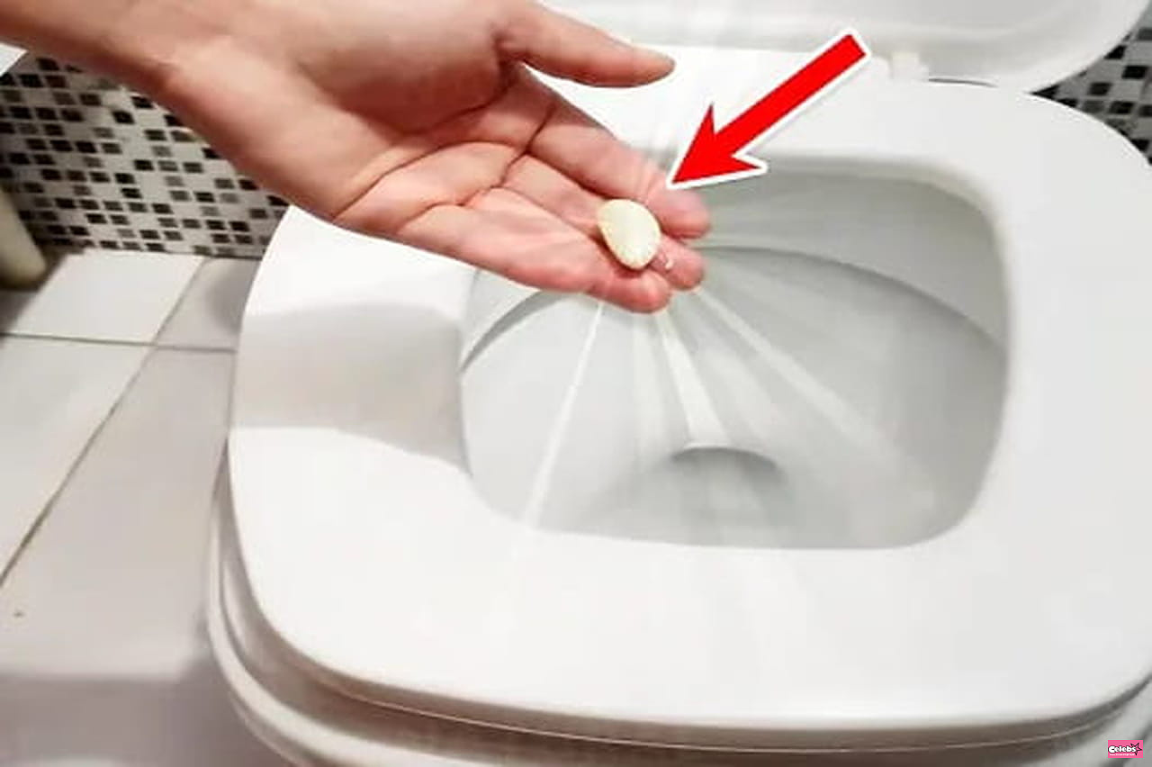 The genius idea: put a clove of garlic in the toilet overnight