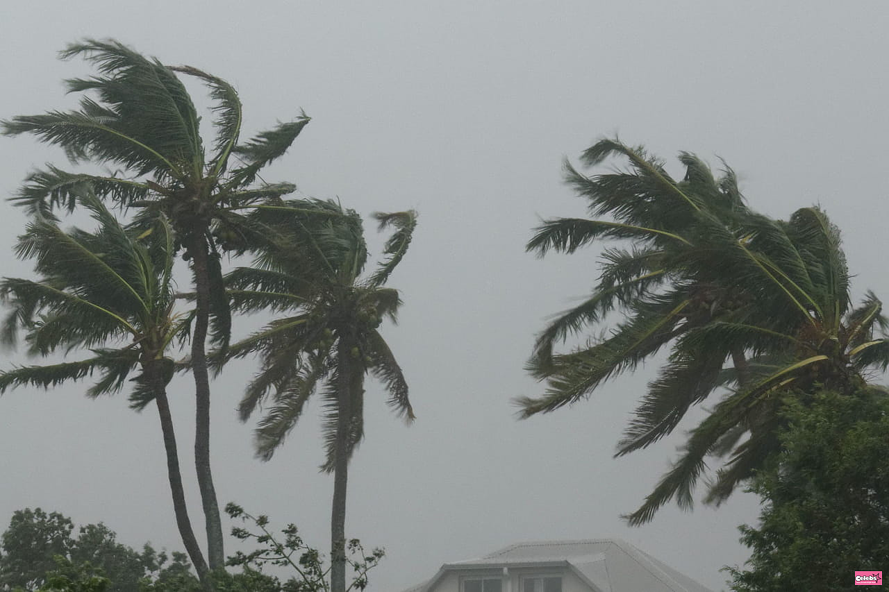 DIRECT. Cyclone Belal in Reunion: the island in the eye of the cyclone on red alert