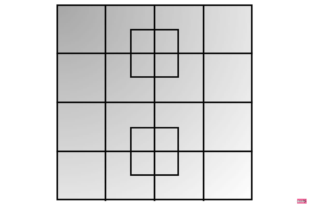 Only 10% of people can find the number of squares in this image