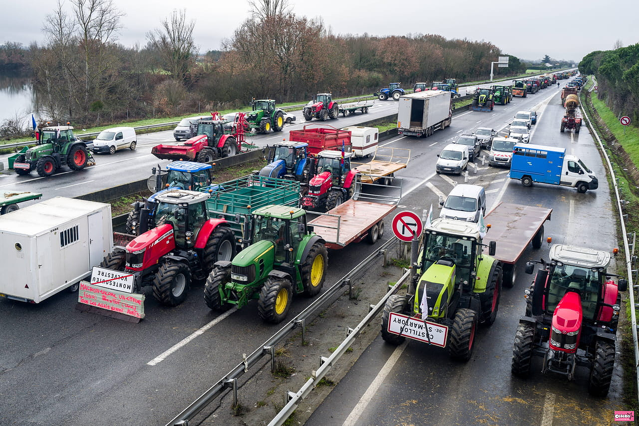 Do the French support the farmers' protest?