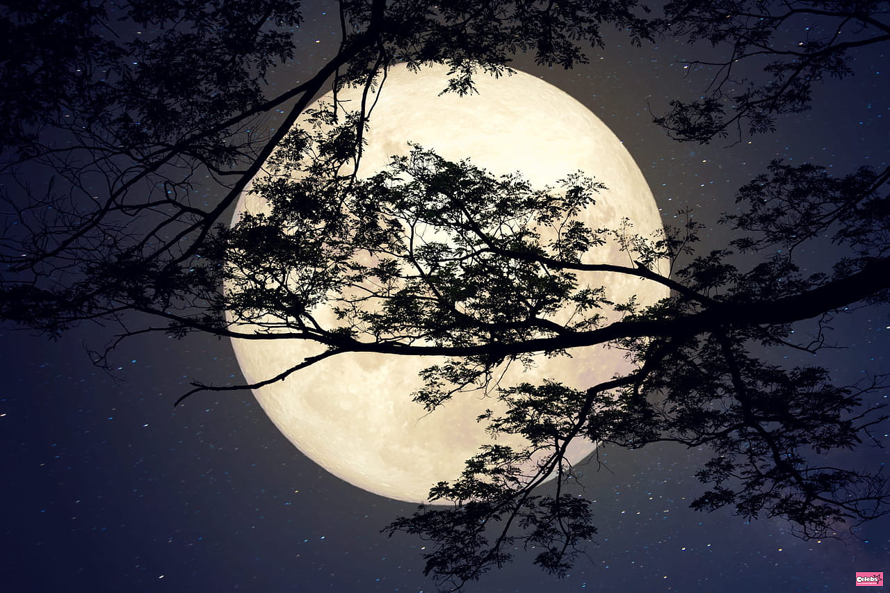 Full Moon in January 2024: what effects according to your astrological sign?