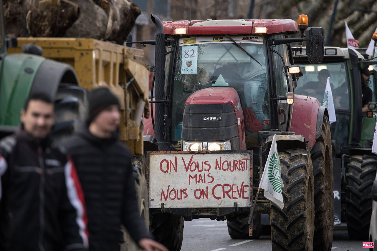 Attal, Fesneau, Bardella… politicians attacking farmers’ discontent