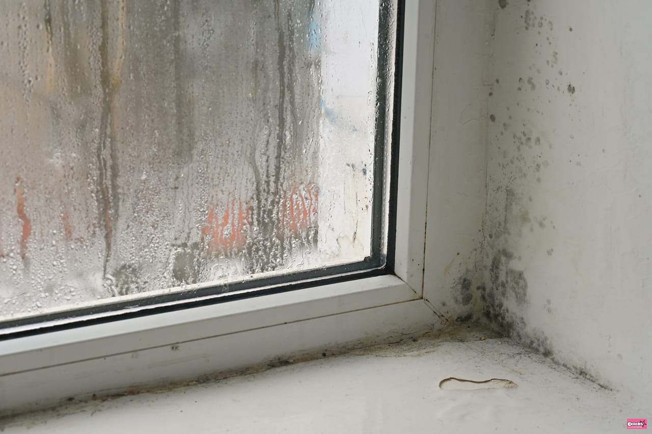 This is the exact time of day you should open windows to prevent mold
