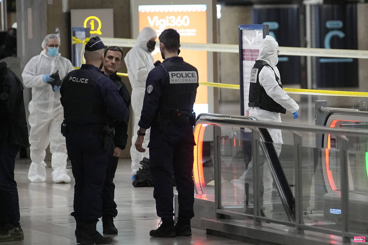 Knife attack in Paris: Gare de Lyon suspect again placed in police custody