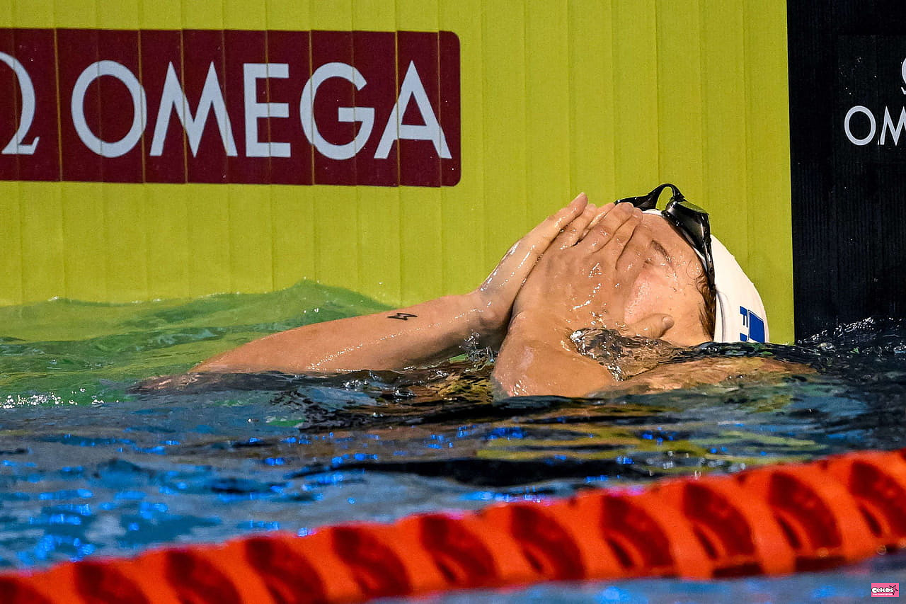 2024 World Swimming Championships: the French miss out, all the results