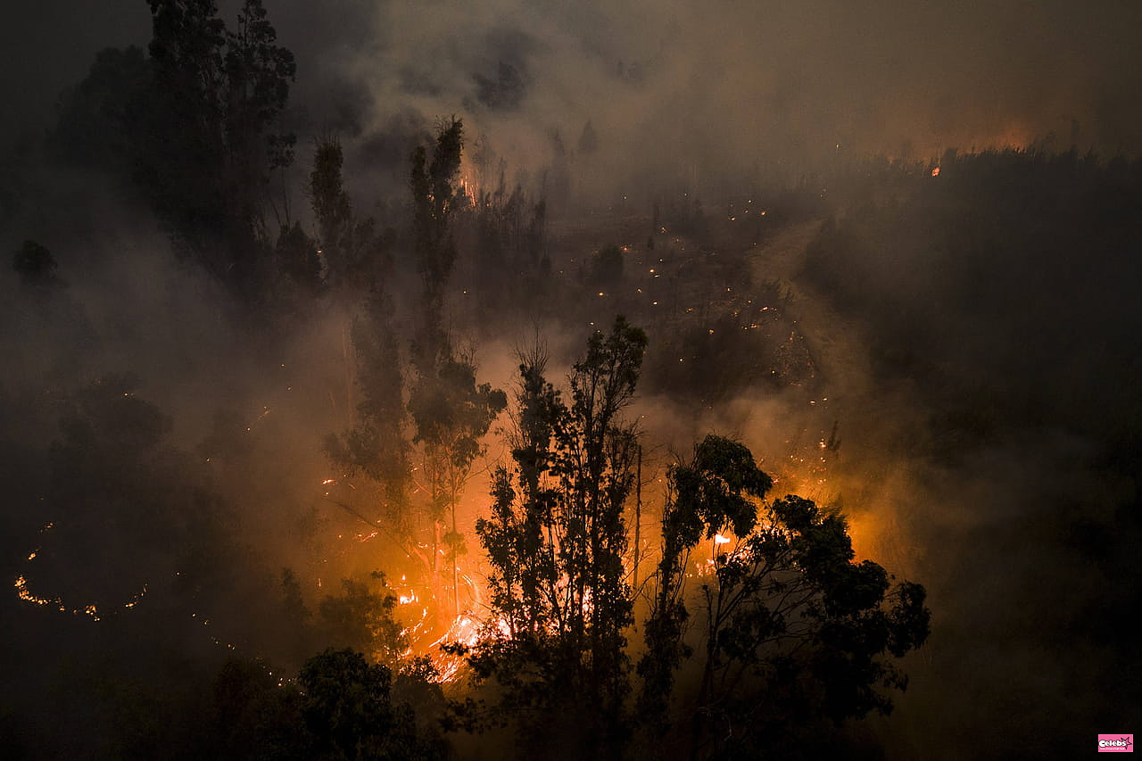 Fires in Chile: dozens dead, striking images