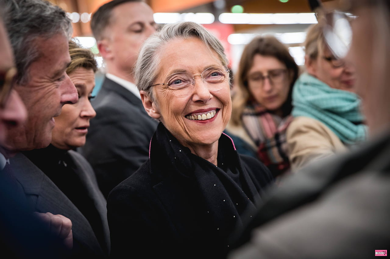 Elisabeth Borne returns to the National Assembly: “enthusiasm” and an office like no other