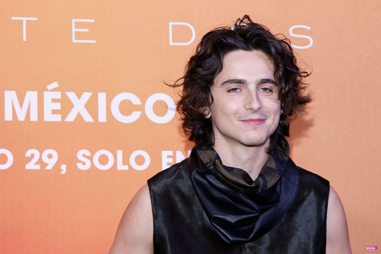 Is Timothée Chalamet in a relationship? He formalized his relationship with a TV star