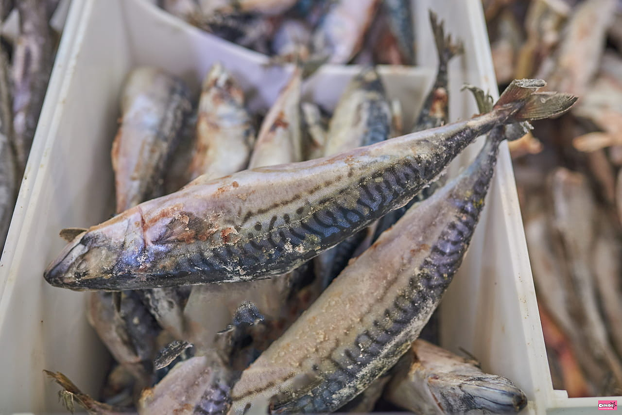 These fish sold throughout France should not be consumed