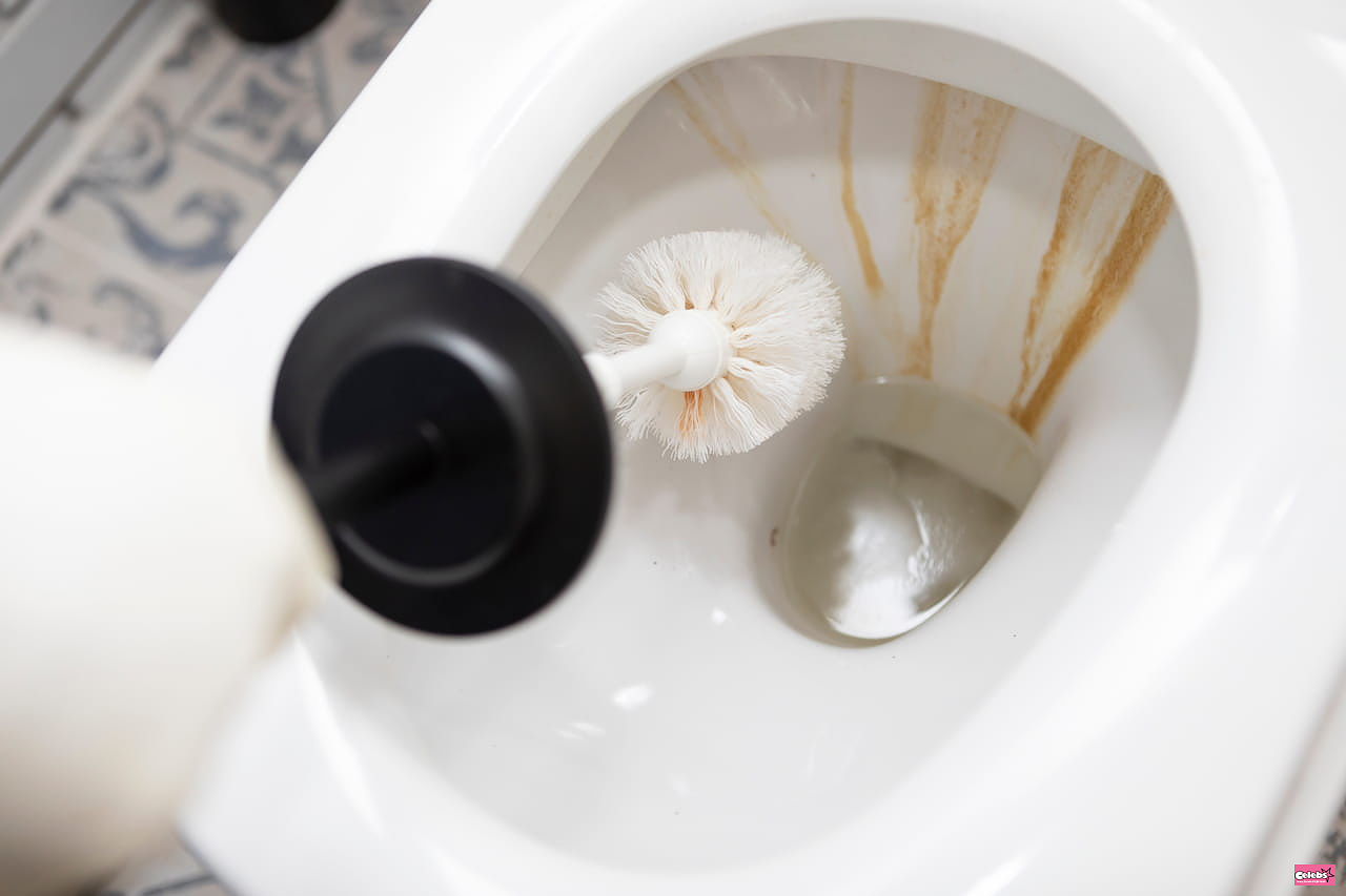 As effective as white vinegar, this product easily removes limescale from toilets and without leaving a bad odor
