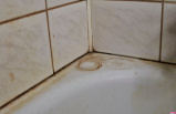 The easy way to sparkling bathroom grouts – without white vinegar or bleach