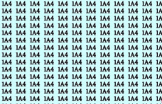 You have a high IQ if you find the number 144 hidden in this grid in 10 seconds