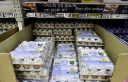 New labels are arriving at Carrefour: it's better...