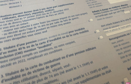 All these French people must check this tax box to...