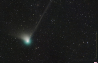 Comet 2023: how to spot and observe C/2022 E3 (ZTF)?