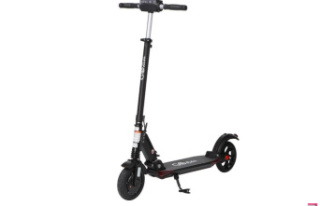 Electric scooter Christmas deal: -28% on the Go Ride...