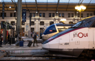 SNCF strike: forecasts of trains in circulation this...