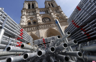 Notre-Dame de Paris: what will its future forecourt...