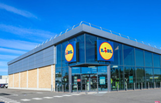 Lidl car: how to try to win a Mini Lidl?