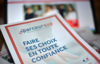 Parcoursup 2023: what you need to know about your...