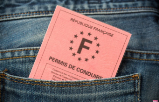 The pink driver's license is going to be abolished...