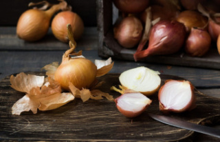 Why You Should NEVER Throw Away Onion Skins