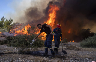 Fire in Greece: the fires continue, the images