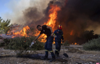 Fires in Greece: walls of flames...the images of the...