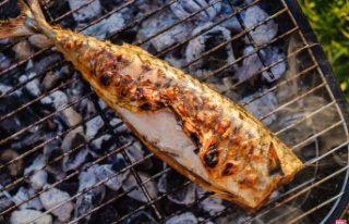 Your fish will no longer stick to the barbecue grill...