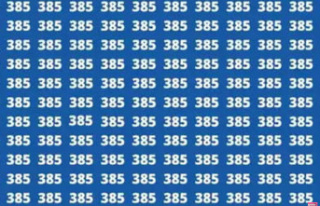 Can you find the unique number 335 in just 10 seconds?...