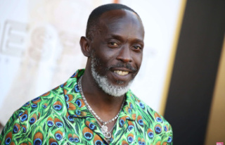 Michael K. Williams: Trafficker Convicted in Actor's...