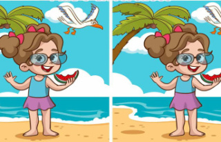 Can you spot 4 differences between these two images...